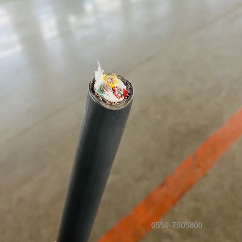 ÌØÖÖµçÀÂ.313.jpg ÌØÖÖµçÀÂ.313.jpg