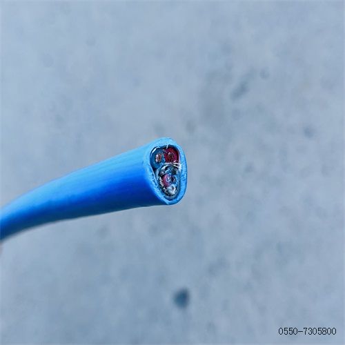 ÌØÖÖµçÀ³§¼Ò303.jpg ÌØÖÖµçÀ³§¼Ò303.jpg