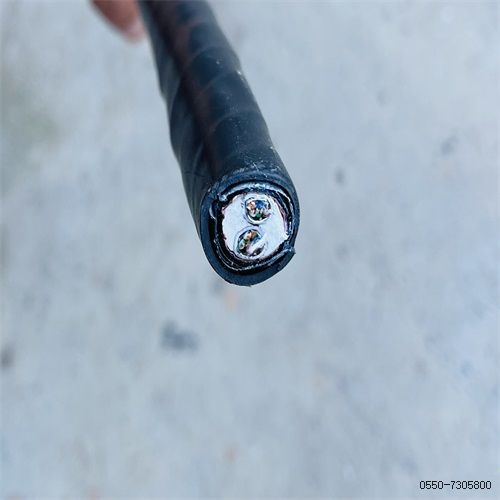 ÌØÖÖµçÀ³§¼Ò207.jpg ÌØÖÖµçÀ³§¼Ò207.jpg