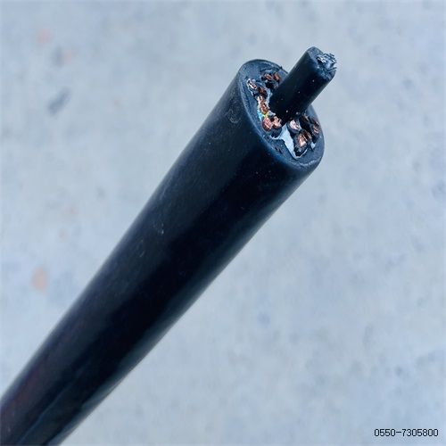 ÌØÖÖµçÀ³§¼Ò239.jpg ÌØÖÖµçÀ³§¼Ò239.jpg