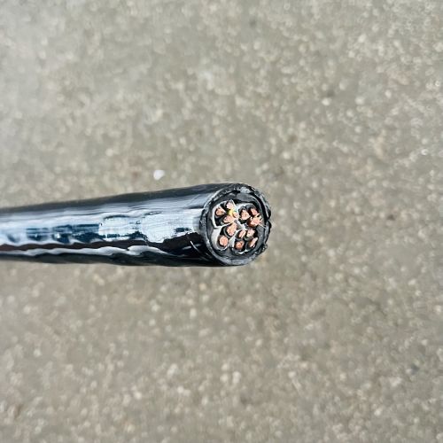 IMG_8524.jpg IMG_8524.jpg