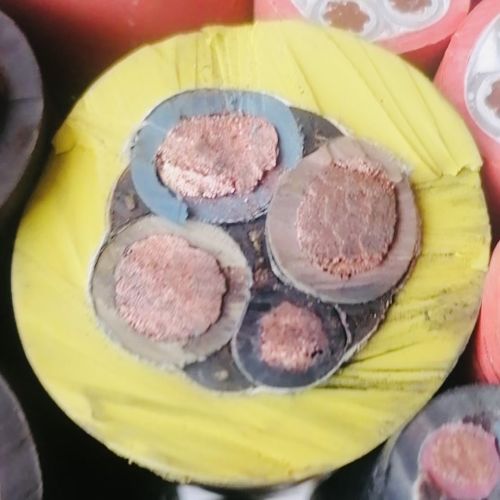 IMG_8177.jpg IMG_8177.jpg