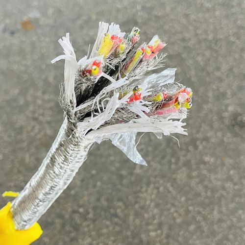 IMG_6503.jpg IMG_6503.jpg