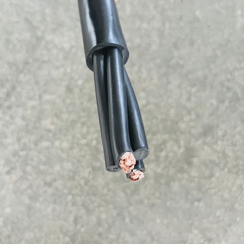 IMG_5385.jpg IMG_5385.jpg