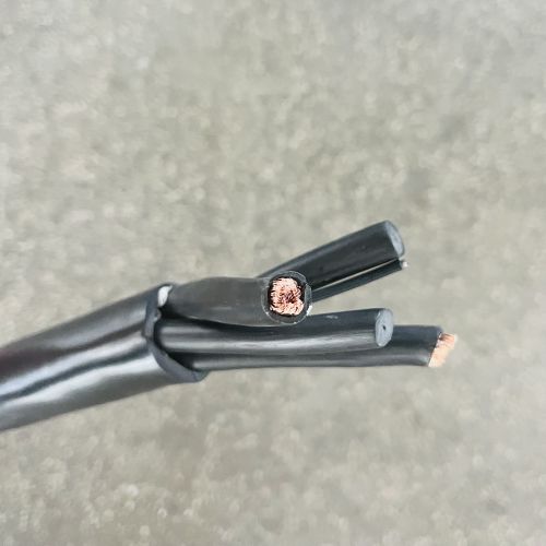 IMG_5399.jpg IMG_5399.jpg