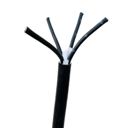 IMG_4428.png IMG_4428.png