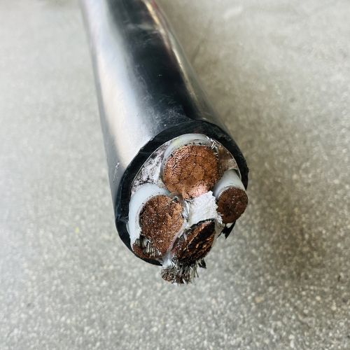 IMG_6389.jpg IMG_6389.jpg