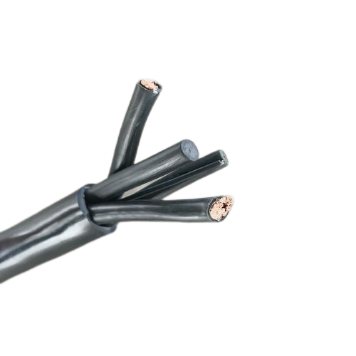 IMG_5398.png IMG_5398.png