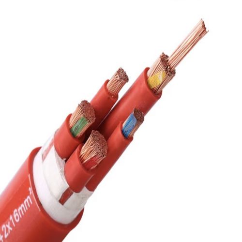 IMG_4153.jpg IMG_4153.jpg