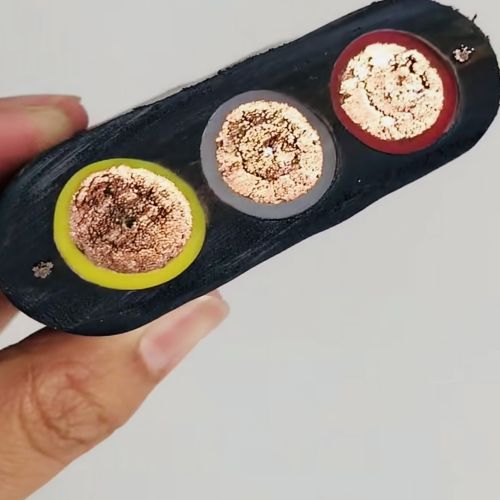 IMG_8533.jpg IMG_8533.jpg