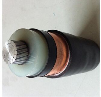 201703151053044751 201703151053044751