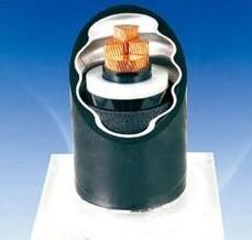 201703151120168337 201703151120168337