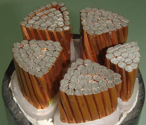 201703281938167305 201703281938167305