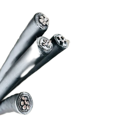 20241111091003381 20241111091003381