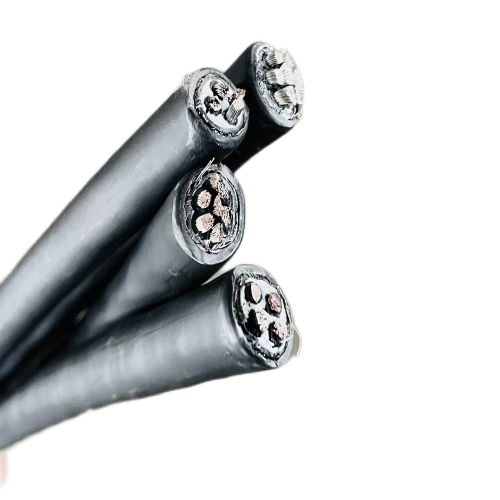 202411131555491939 202411131555491939