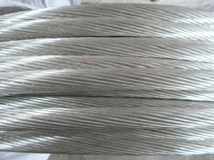 SkyBet天空·(中国区)体育中文网官方