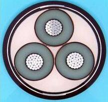 SkyBet天空·(中国区)体育中文网官方