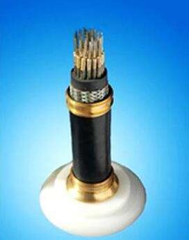 SkyBet��ա�(�й���)�����������ٷ�