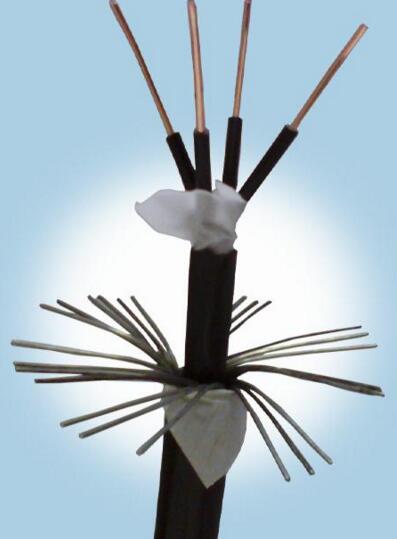 SkyBet天空·(中国区)体育中文网官方