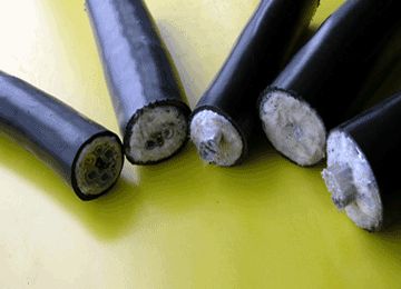 SkyBet天空·(中国区)体育中文网官方