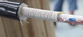 SkyBet天空·(中国区)体育中文网官方