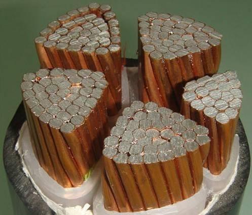 SkyBet天空·(中国区)体育中文网官方