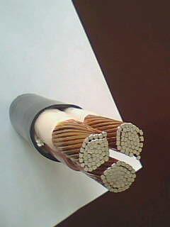 SkyBet天空·(中国区)体育中文网官方