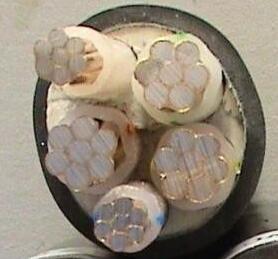 SkyBet天空·(中国区)体育中文网官方