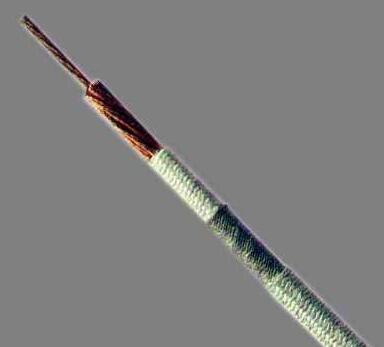 SkyBet天空·(中国区)体育中文网官方