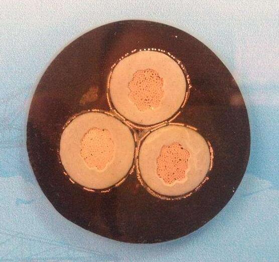 SkyBet天空·(中国区)体育中文网官方