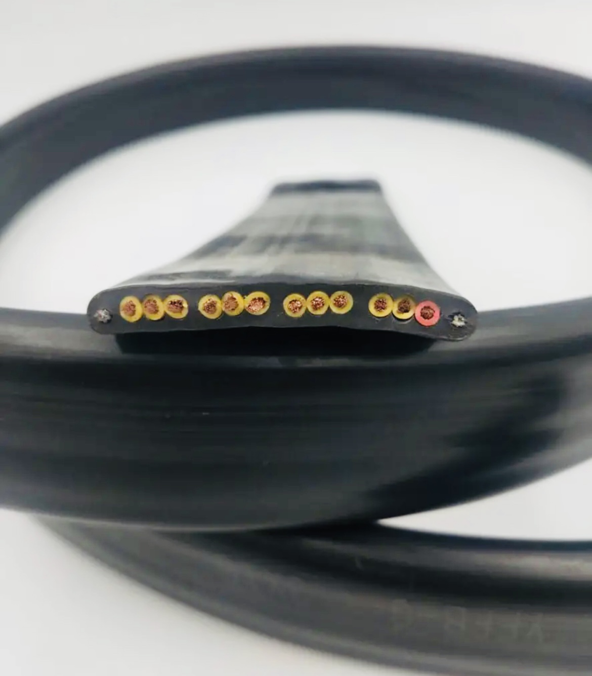 SkyBet��ա�(�й���)�����������ٷ�