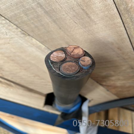 SkyBet��ա�(�й���)�����������ٷ�