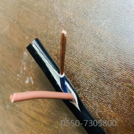 SkyBet��ա�(�й���)�����������ٷ�