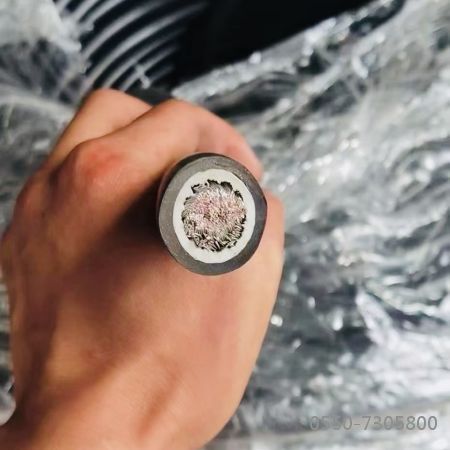 SkyBet天空·(中国区)体育中文网官方