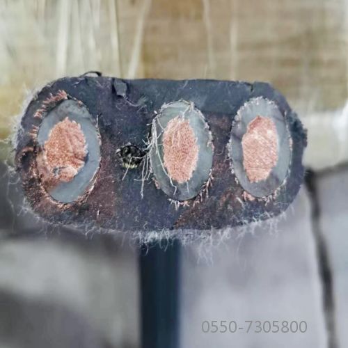 SkyBet天空·(中国区)体育中文网官方