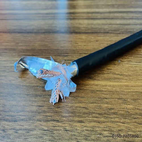 SkyBet��ա�(�й���)�����������ٷ�