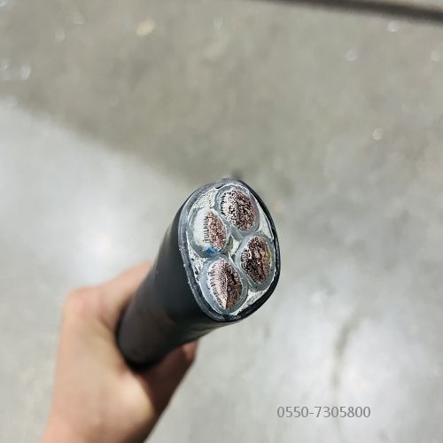 SkyBet��ա�(�й���)�����������ٷ�