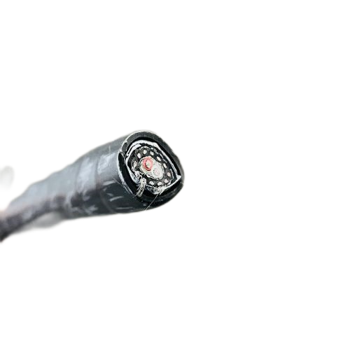 SkyBet天空·(中国区)体育中文网官方