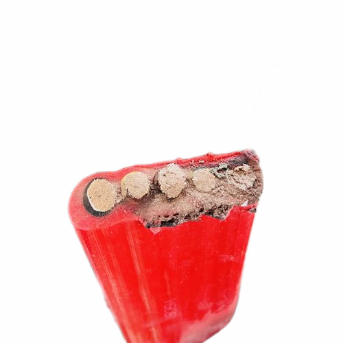 SkyBet��ա�(�й���)�����������ٷ�