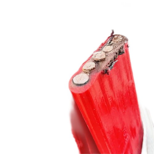 SkyBet��ա�(�й���)�����������ٷ�