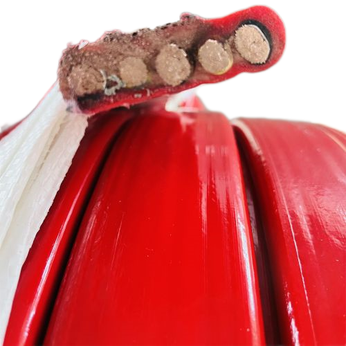 SkyBet��ա�(�й���)�����������ٷ�