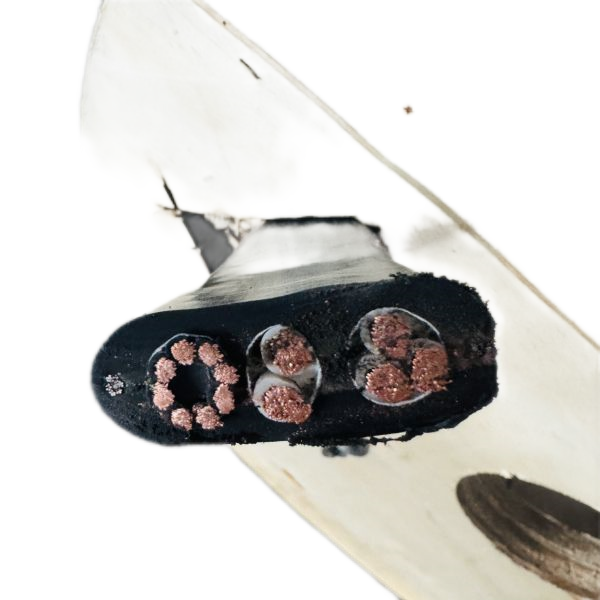 SkyBet��ա�(�й���)�����������ٷ�