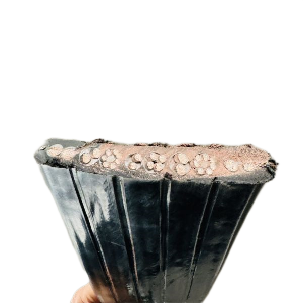 SkyBet��ա�(�й���)�����������ٷ�