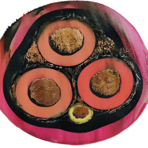 SkyBet天空·(中国区)体育中文网官方