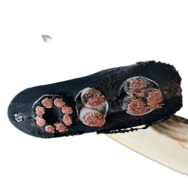 SkyBet��ա�(�й���)�����������ٷ�