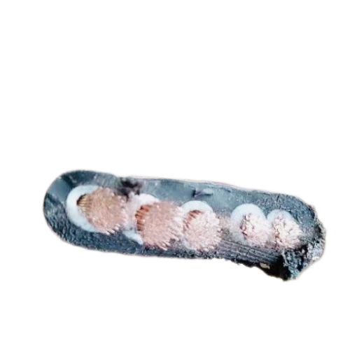 SkyBet��ա�(�й���)�����������ٷ�