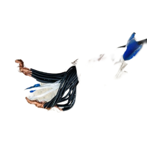 SkyBet天空·(中国区)体育中文网官方