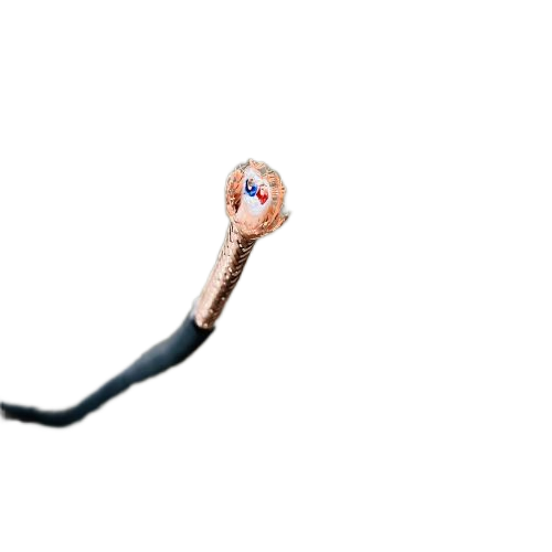 SkyBet��ա�(�й���)�����������ٷ�