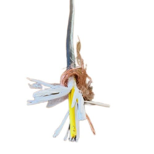 SkyBet��ա�(�й���)�����������ٷ�