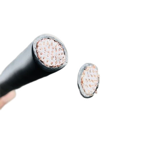 SkyBet��ա�(�й���)�����������ٷ�